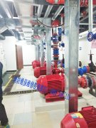 şܰb(yng)עЩ(xing)